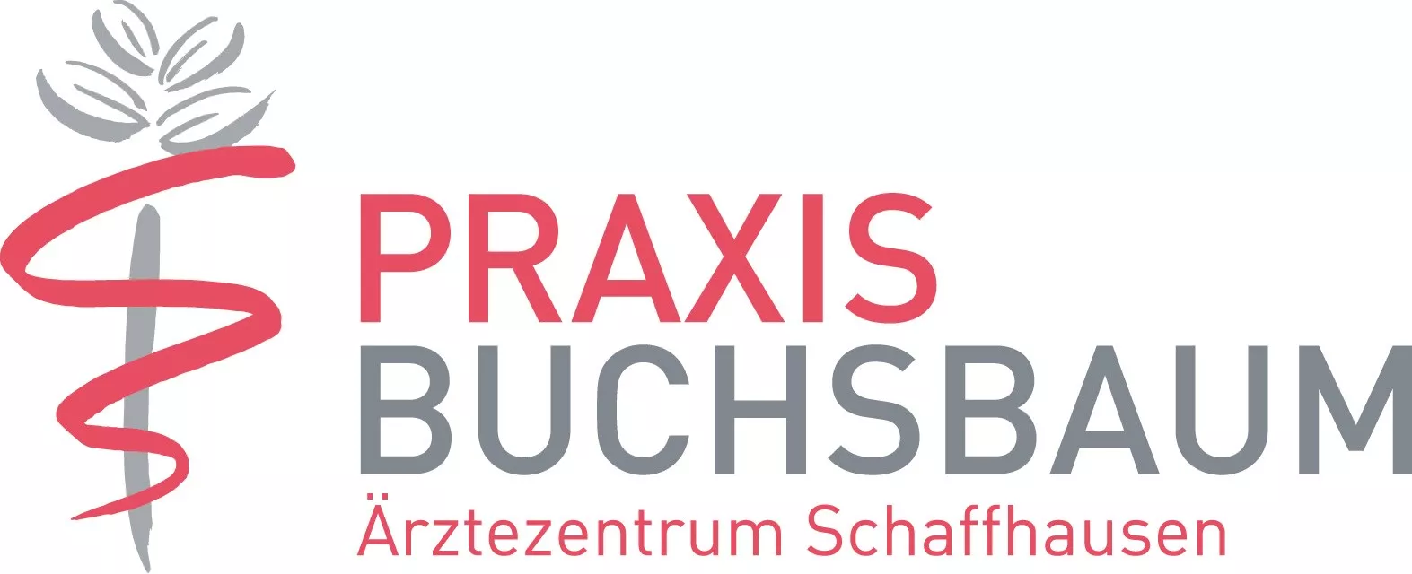 Praxis Buchsbaum